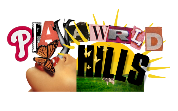 PLAYAWRLD HILLS